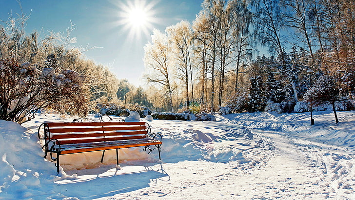 bench, sunray, rays, snow, winter, nature, tree, freezing, sky