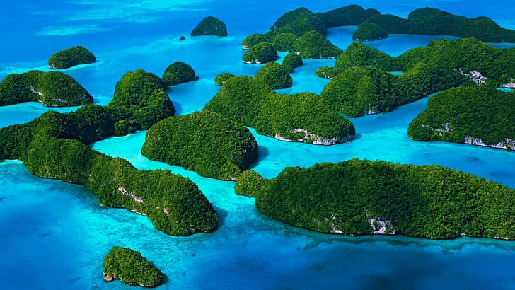 Palau, island, limestone, trees, sea