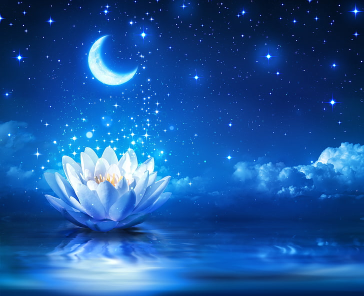 white water lily flower and crescent moon wallpaper, lights, Lotus