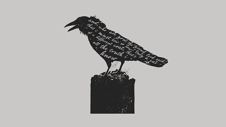 black crow illustration, gray, raven, poem, studio shot, indoors