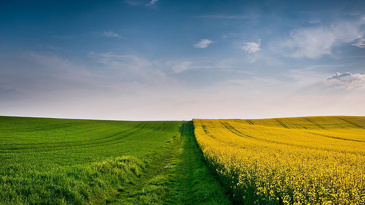 hd image of nature for pc 1920x1080, landscape, field, sky, HD wallpaper