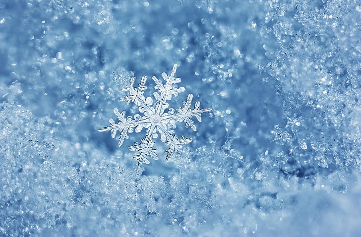clear snowflake, ice, winter, water, macro, christmas, decoration, HD wallpaper