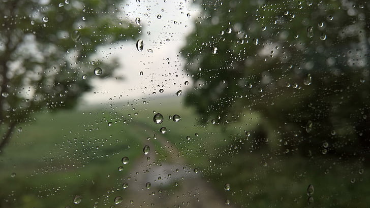 autumn, window, rain, rain drops, nature, HD wallpaper