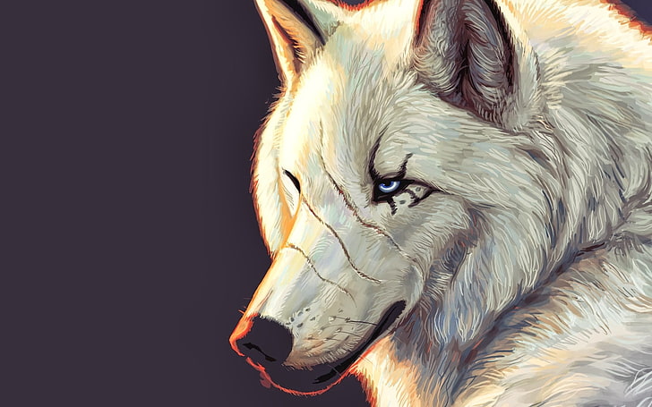white fox digital wallpaper, wolf, animals, artwork, one animal