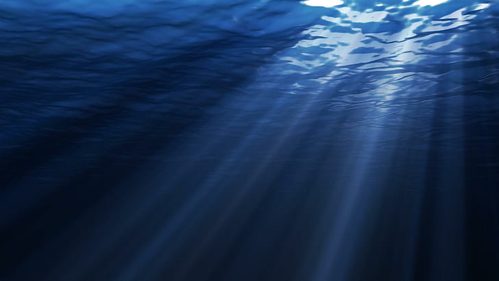 Download Spectacular Underwater Realm  The Deep Sea Exploration Wallpaper   Wallpaperscom