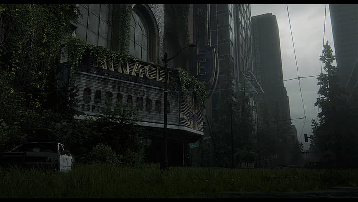 The Last of Us 2, Naughty Dog, Sony, HD wallpaper