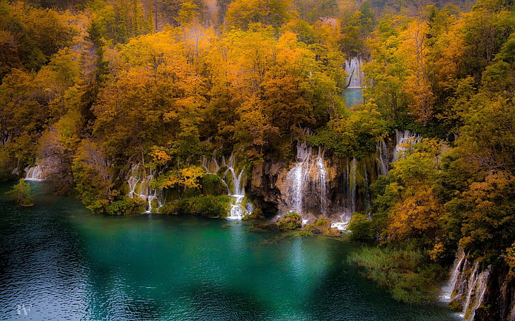 waterfalls surrounded with trees, nature, landscape, forest, lake