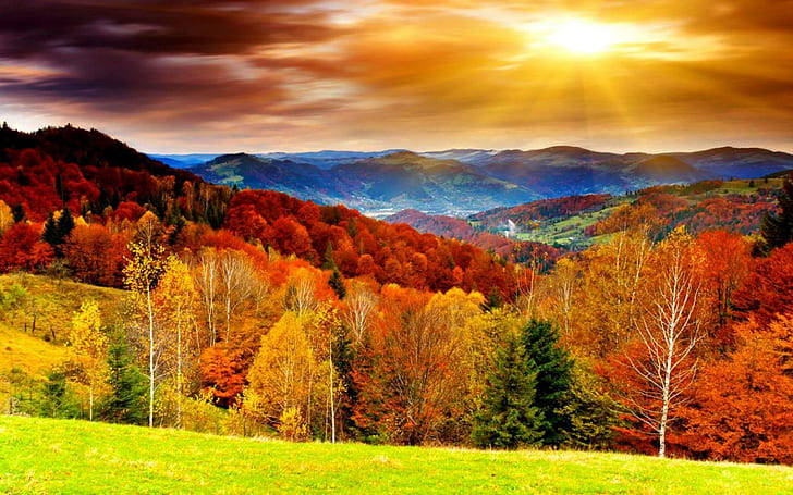 Autumn Scenery, natural, HD wallpaper