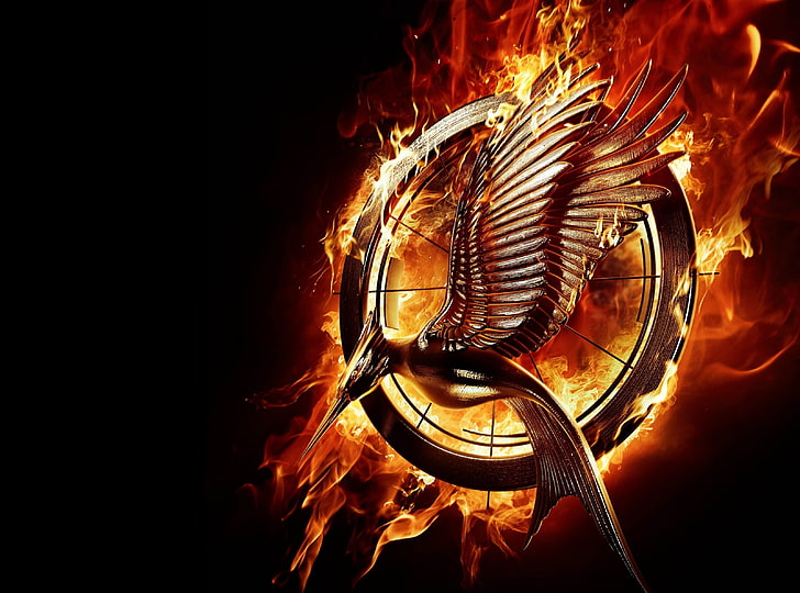 The Hunger Games Catching Fire Movie, Hunger Games Catching Fire logo, HD wallpaper