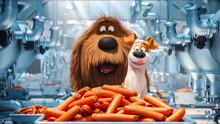 the secret life of pets theme background images, HD wallpaper