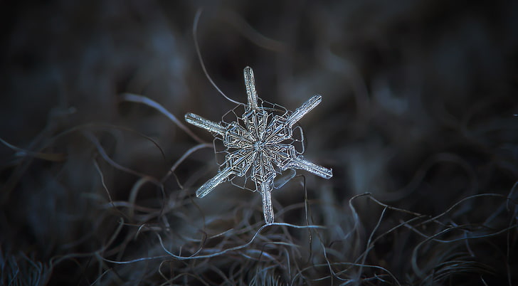 Real Snowflake Macro, Aero, Winter, Small, Stars, Background, HD wallpaper