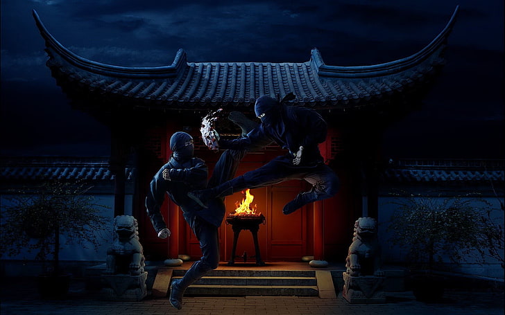 two ninja fighting digital wallpaper, ninjas, warrior, fantasy art, HD wallpaper