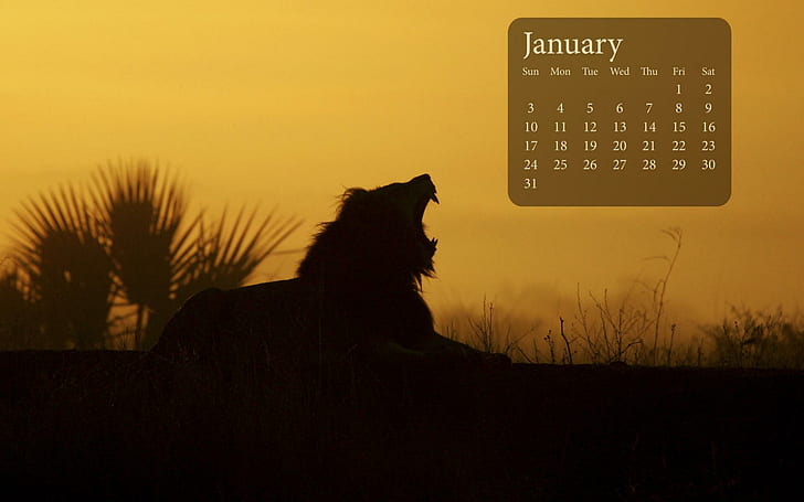 Lion Sunrise January 2010 Calender, silhouette of lion january calendar, HD wallpaper