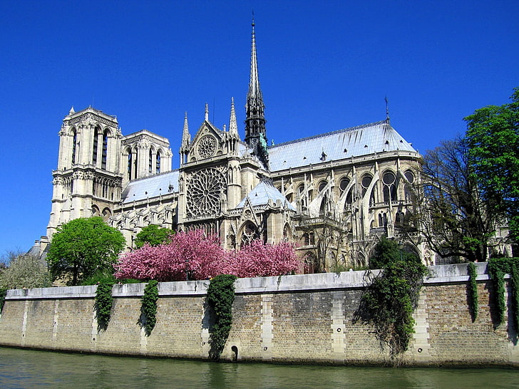 beige castle, notre-dame de paris, cathedral, france, architecture, HD wallpaper