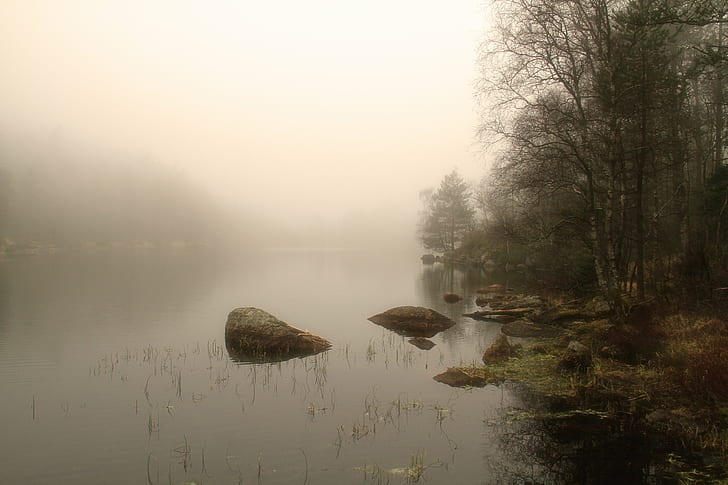 lake surrounded with fog, Silence, mist, misty, morning, nature, HD wallpaper