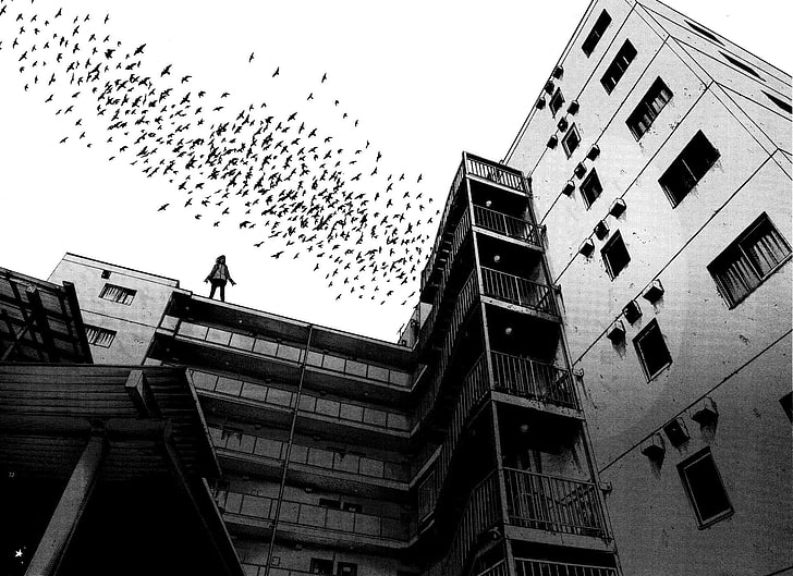 black and white concrete building, birds, monochrome, architecture