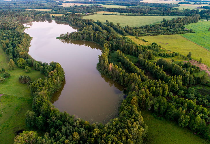 forest, trees, lake, field, Estonia, the view from the top