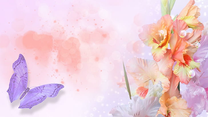 Iris So Softly, purple butterfly and beige petaled flower illustration