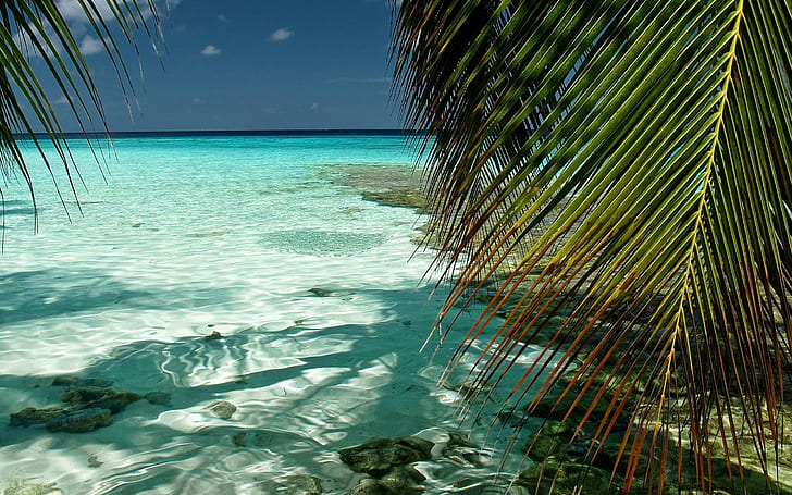 Maldives Indian Ocean, beach, nature