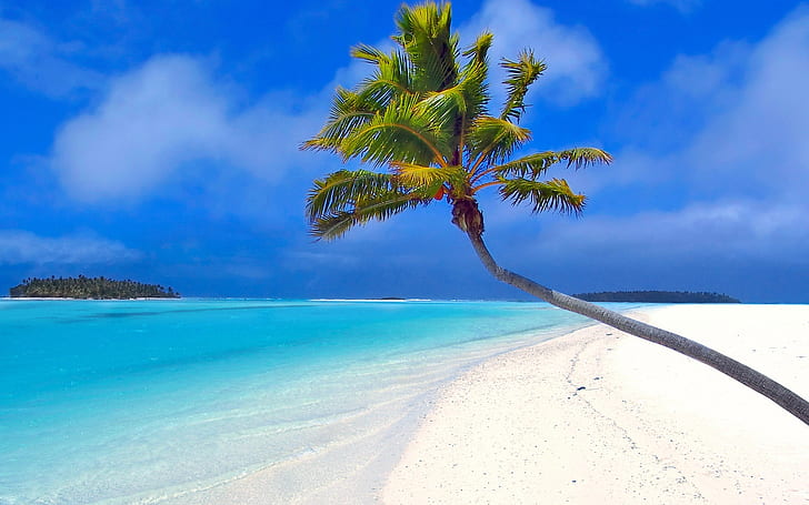 Beach by a coconut tree, Sea, Palm, HD wallpaper