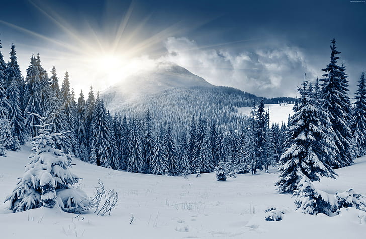 Bạn có yêu thích cảnh tuyết rơi giữa khu rừng đầy bí ẩn không? Hãy tới với bức tranh núi rừng mùa đông đầy nghệ thuật này để cảm nhận được vẻ đẹp tuyệt vời của thiên nhiên. Bộ sưu tập tranh ảnh về rừng với hoa văn tinh tế sẽ làm bạn cảm thấy chạm đến lối sống xa hoa với thiên nhiên.