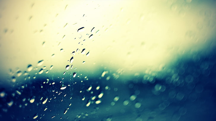 water drops, wet, rain, window, glass - material, transparent, HD wallpaper