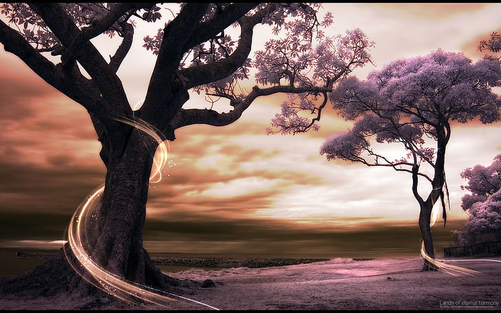 trees, digital art, HD wallpaper