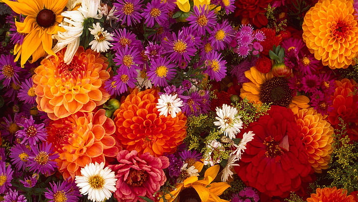 flower, pink, flowers, bouquet, floral, plant, spring, petal, HD wallpaper