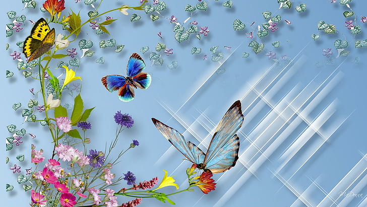 Wild Flower Butterflies, spring, firefox persona, sparkles, scatter, HD wallpaper