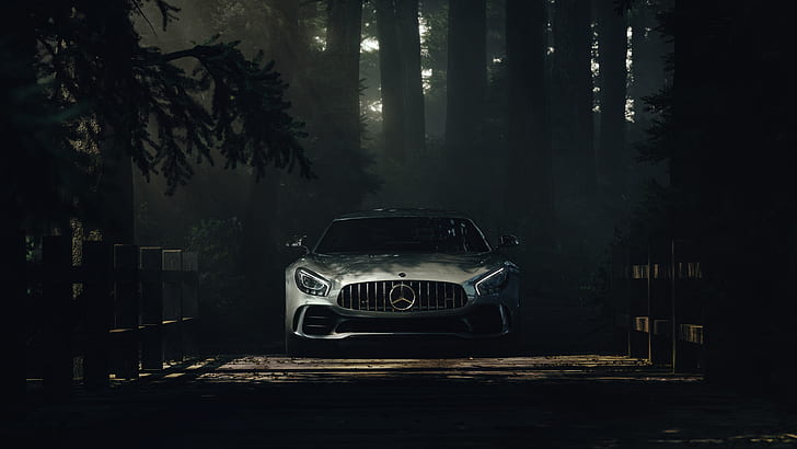 car, Mercedes-Benz S Class, forest, shadow