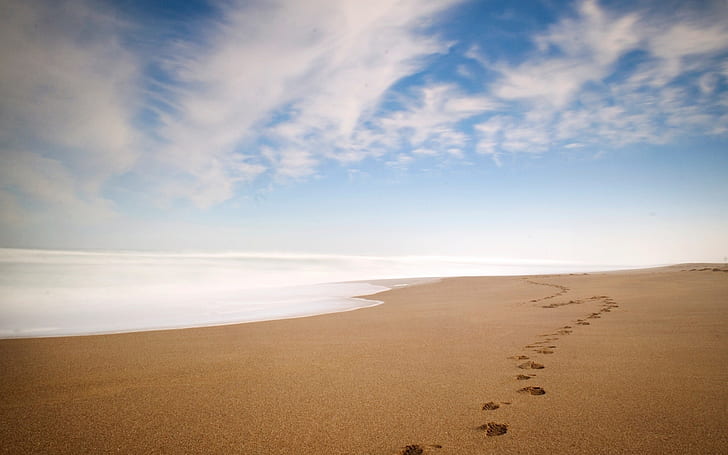 Beach Ocean Footprints HD, nature, HD wallpaper