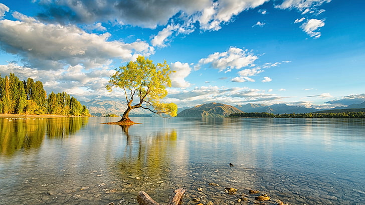 Wanaka New Zealand Lake, water, sky, cloud - sky, tree, scenics - nature, HD wallpaper