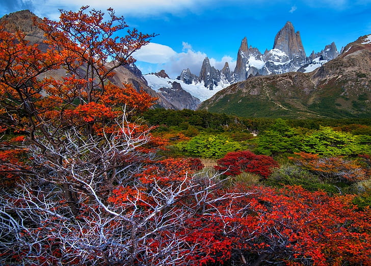 fall, mountains, forest, Patagonia, trees, snowy peak, Argentina, HD wallpaper