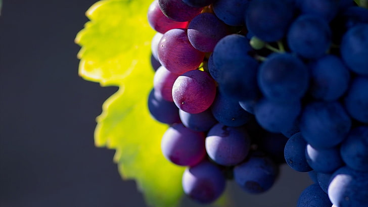 bunch of grapes, depth of field, fruit, plants, food and drink
