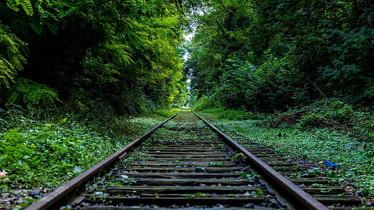 track, railway, railroad, nature, green, path, forest, tree, HD wallpaper