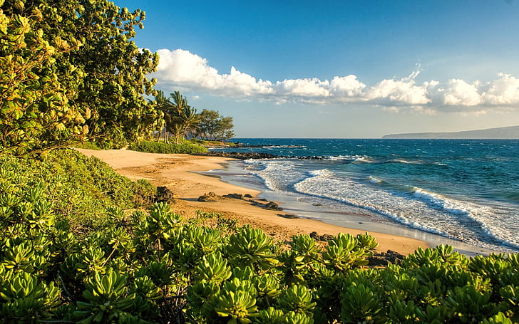 Polo Beach Maui Hawaii Paradise Isl Sea S Desktop Background 492530, HD wallpaper