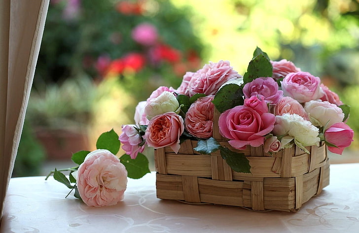 white and pink rose flowers, roses, buds, basket, beauty, bouquet, HD wallpaper