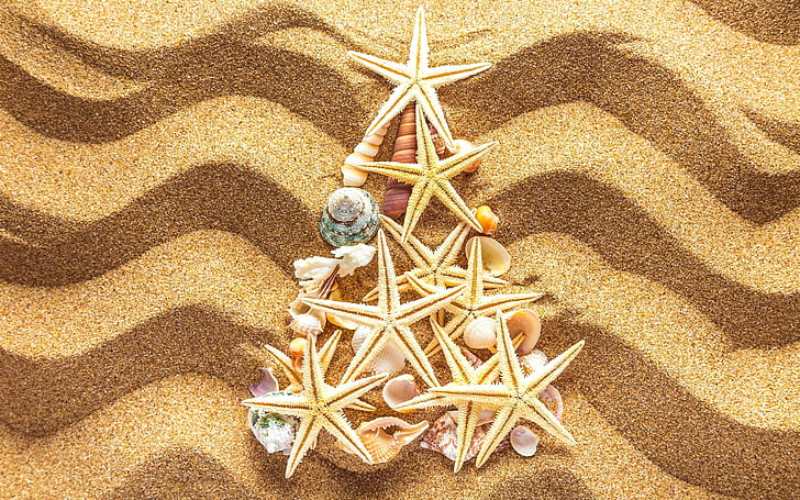 Beach, sands, seashells, starfish, Christmas tree, starfish and seashell triangular decor, HD wallpaper