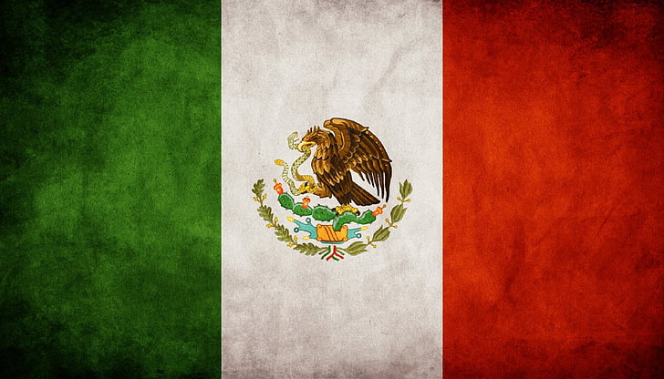 brown eagle print flag, Flags, Flag Of Mexico, art and craft