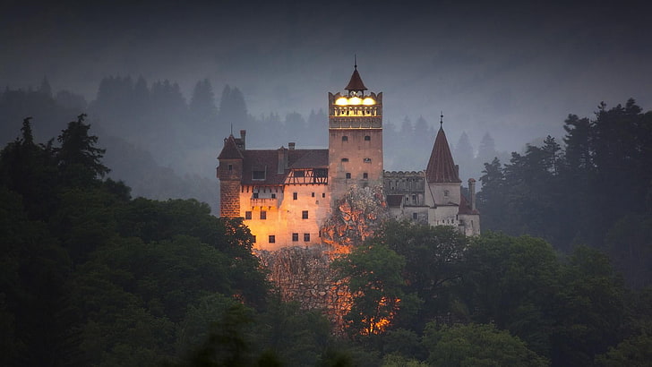 castle, building, history, architecture, historic, forest, bran castle, HD wallpaper