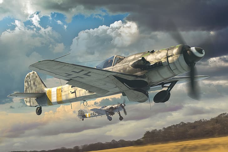 World War II, fw 190, Focke-Wulf, Focke-Wulf Fw 190, airplane, HD wallpaper