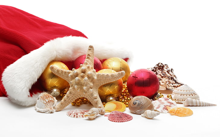 brown star fish, Christmas, New Year, decorations, Santa hats, HD wallpaper