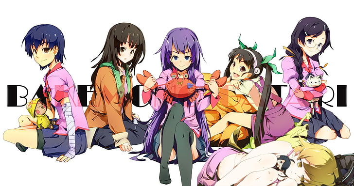 Monogatari Series, anime girls, Senjougahara Hitagi, Hanekawa Tsubasa