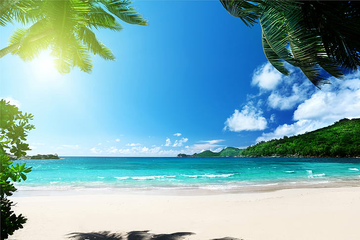 beach, ocean, palms, paradise, sea, summer, sunshine, tropical