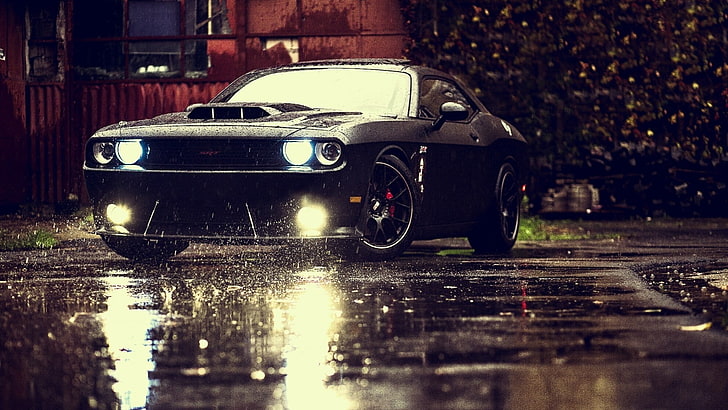 black Dodge Challenger on wet ground during daytime, car, vehicle, HD wallpaper