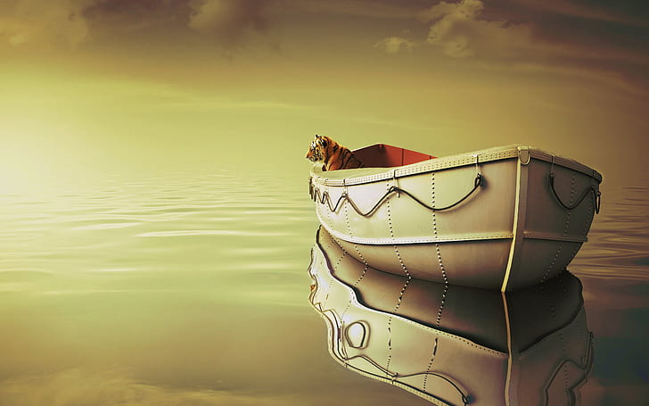 Life Of Pi Boat Tiger, HD wallpaper