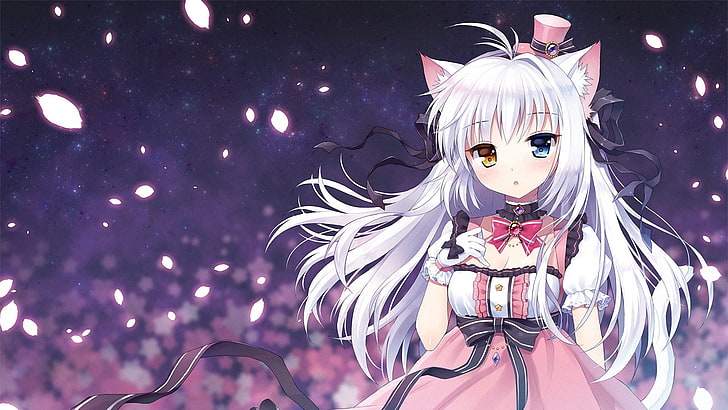 white haired girl illustration, anime, anime girls, cat girl, HD wallpaper