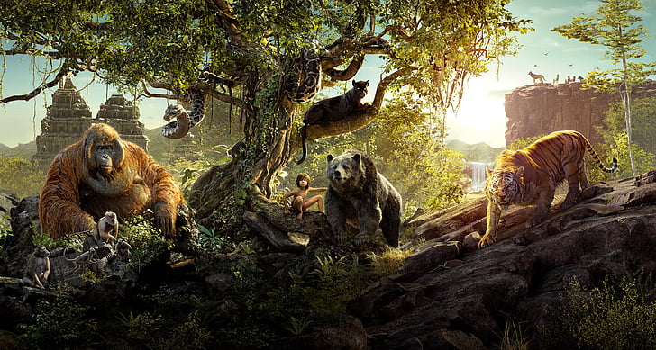 HD wallpaper: Jungle book movie scene, Mowgli, Shere Khan, Bagheera, King  Louie | Wallpaper Flare