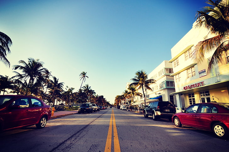 red sedan, road, auto, the sky, palm trees, street, Miami, FL, HD wallpaper