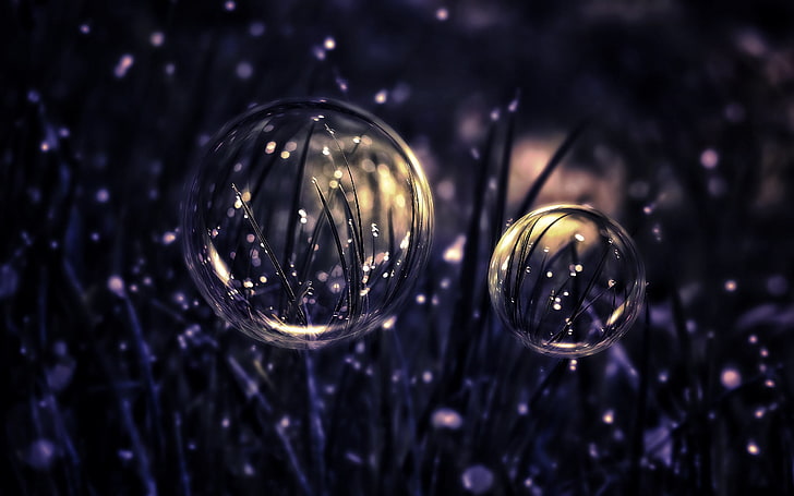 selective focus photography of bubbles in grass wallpaper, drops, HD wallpaper